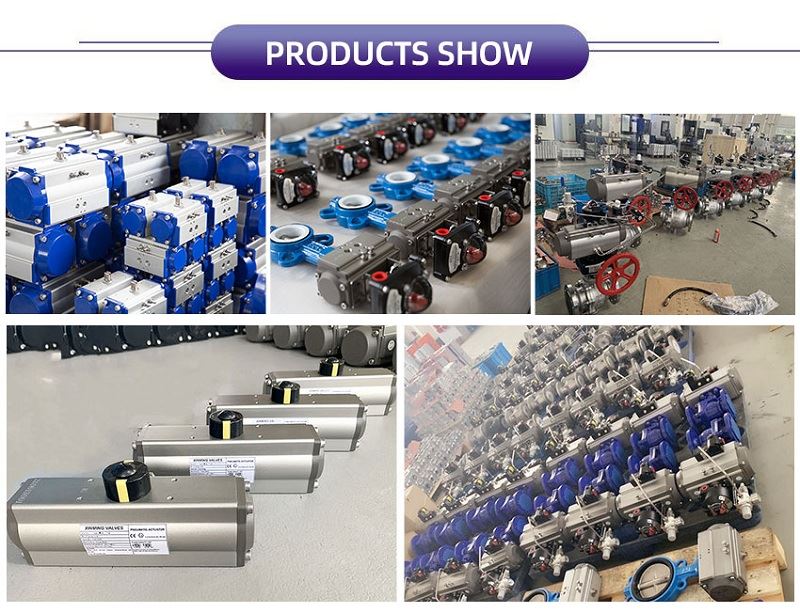 Rack and Pinion Actuator Rack and Pinion Actuator