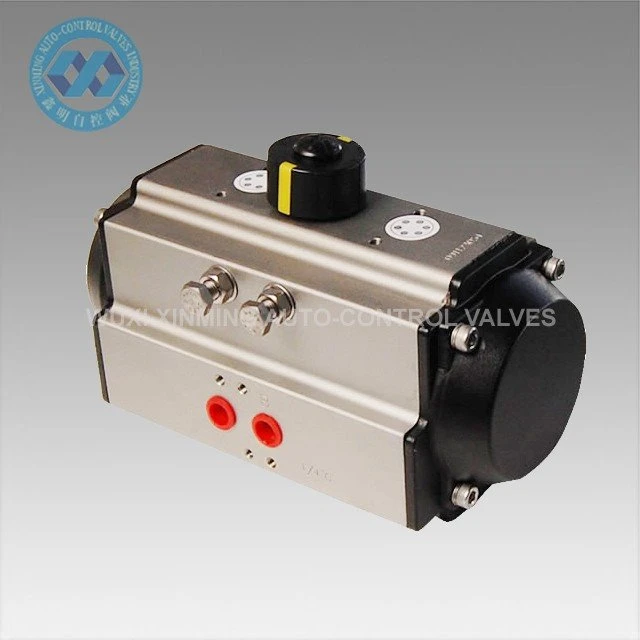 Pneumatic Actuator