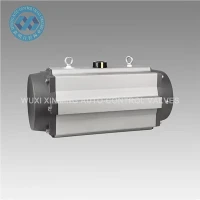 محرک های شیر پنوماتیک برای کارخانه های تصفیه آب